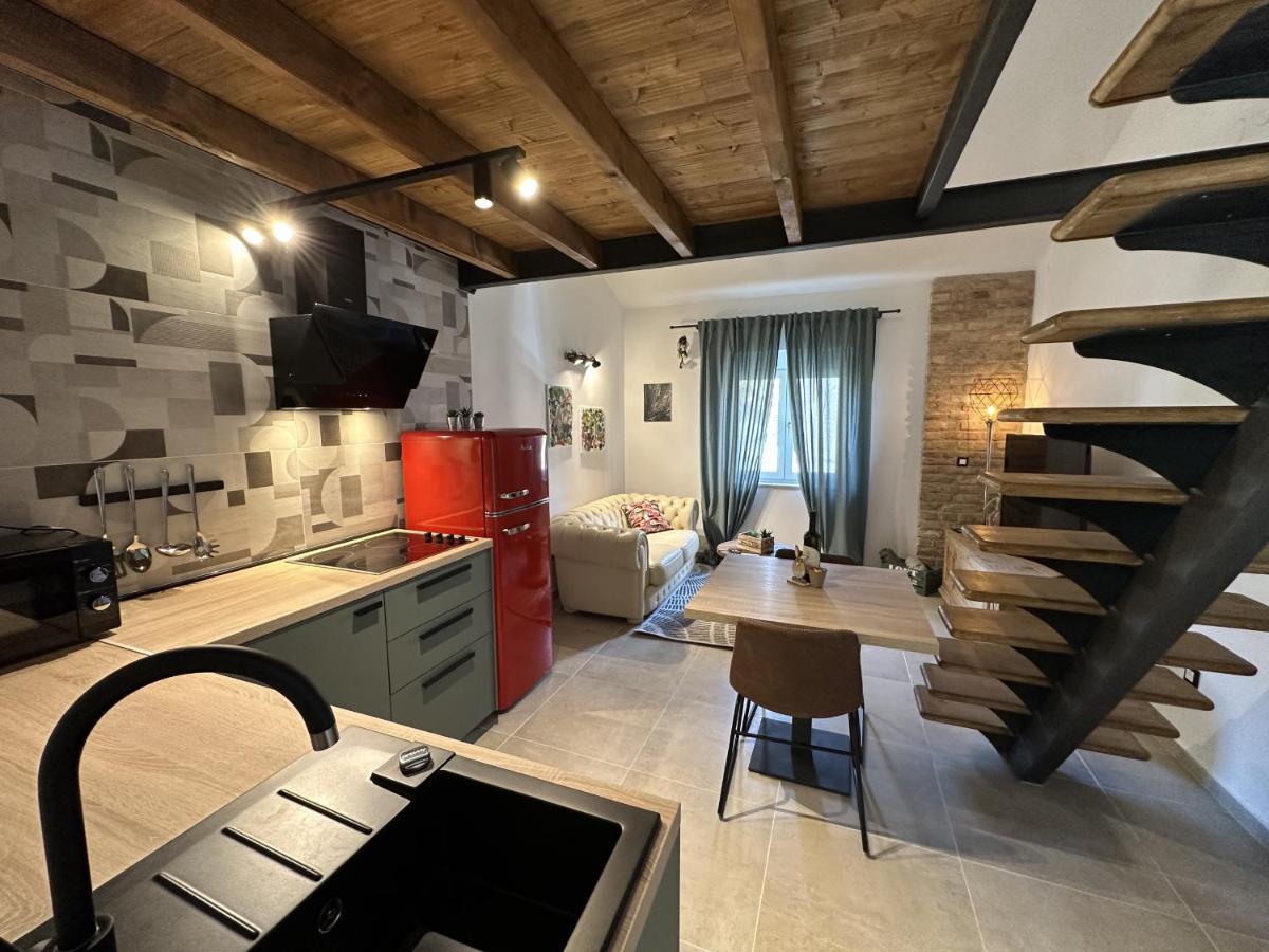 Apartament Urban *