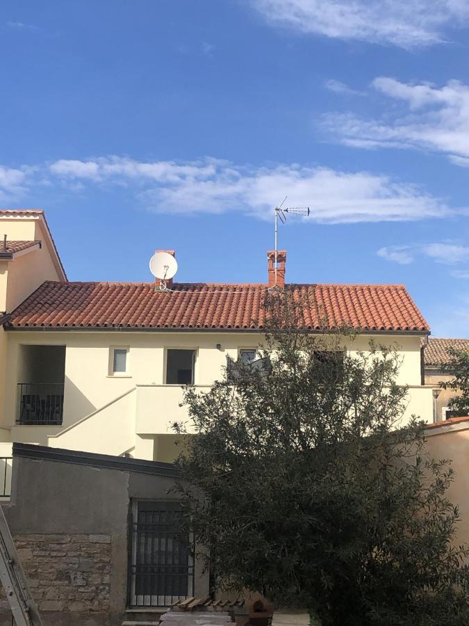 Apartament Urban